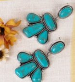 Western Turquoise Earrings